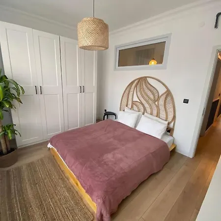 Newly Furnished In Center Apartment Istanbul